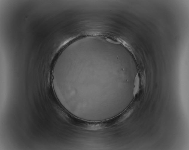 X0000086020301200704131856