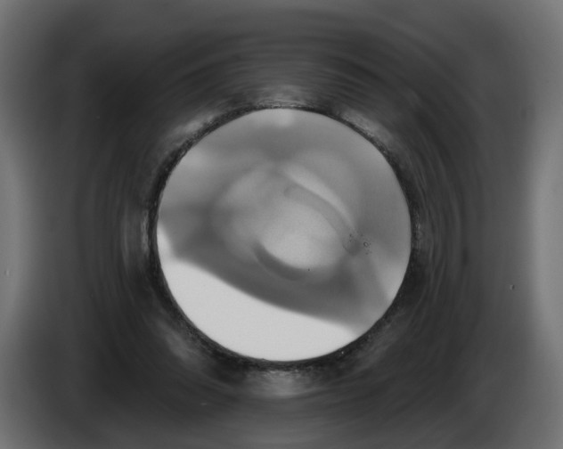 X0000086020302200704131856