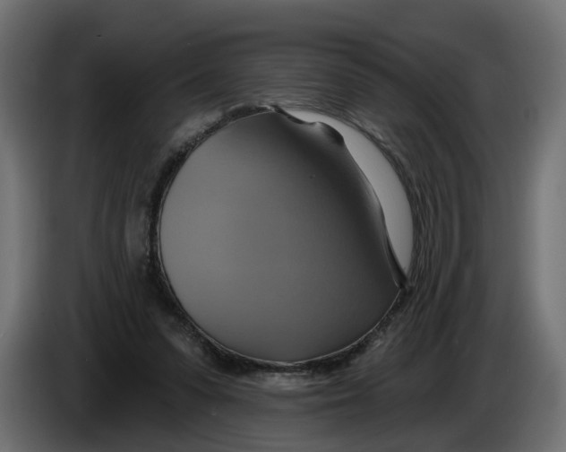 X0000086020303200704131856