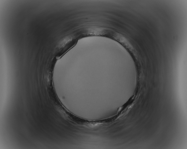 X0000086020305200704131856