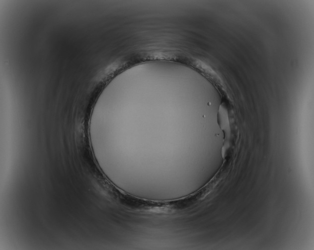 X0000086020306200704131856