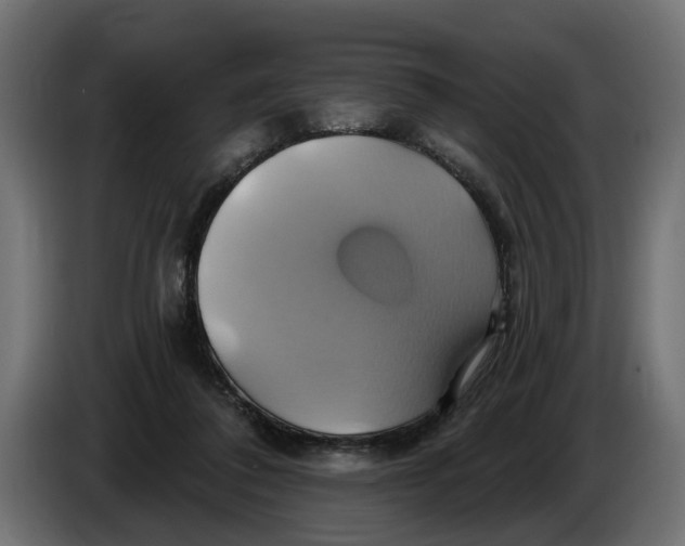 X0000086020308200704131856