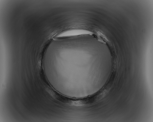 X0000086020309200704131856