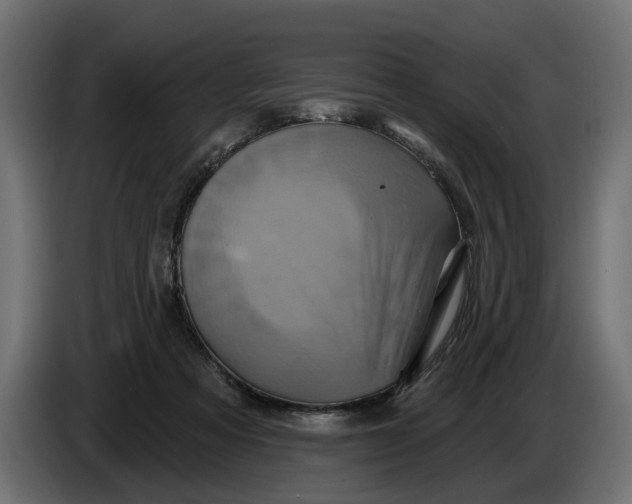 X0000086020313200704131855