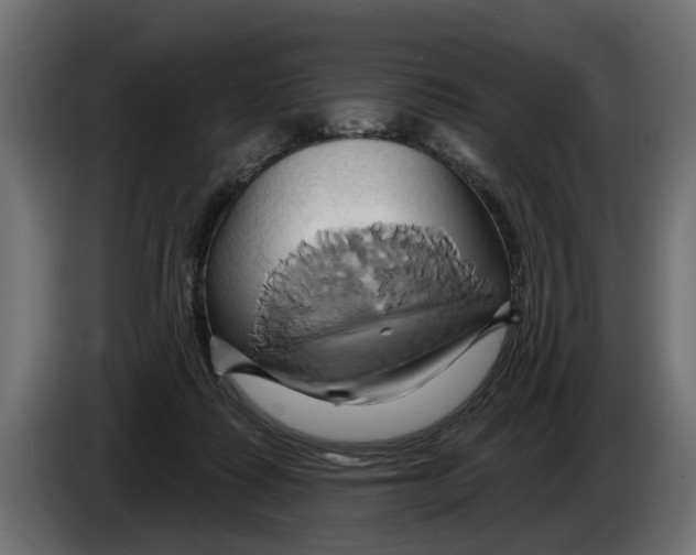 X0000086020315200704131855