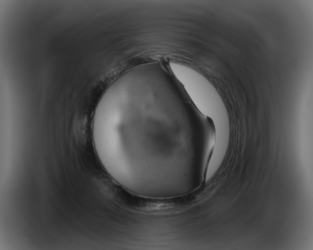 X0000086020319200704131855