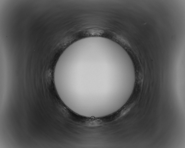 X0000086020321200704131855