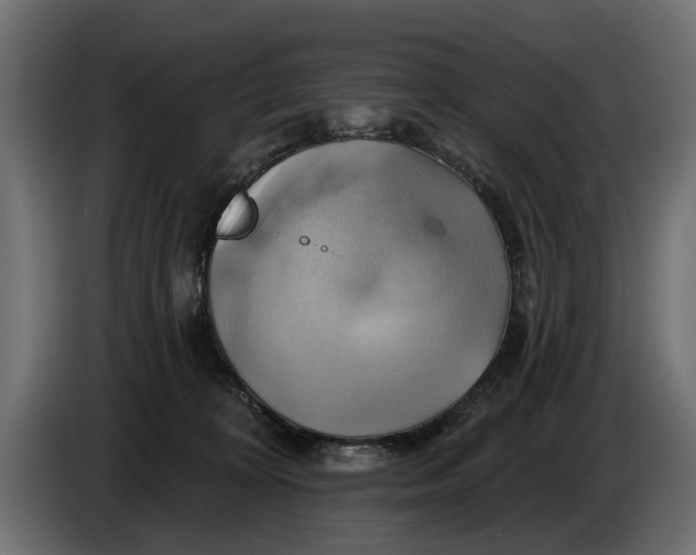 X0000086020324200704131855