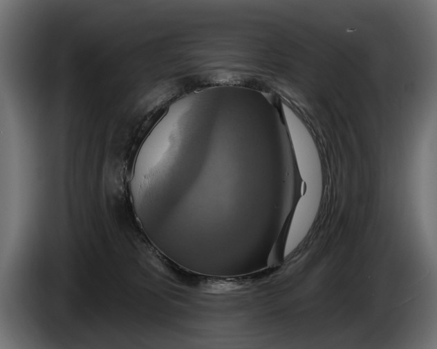 X0000086020325200704131855