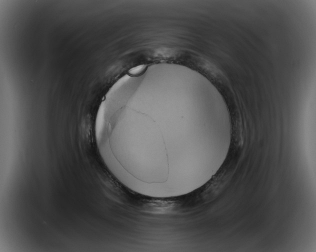 X0000086020328200704131855