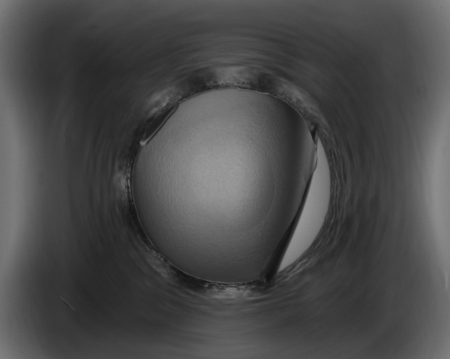 X0000086020329200704131855
