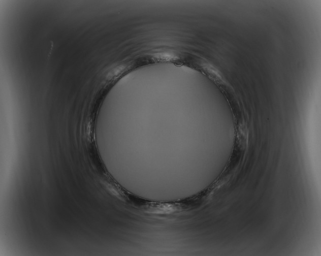 X0000086020330200704131855