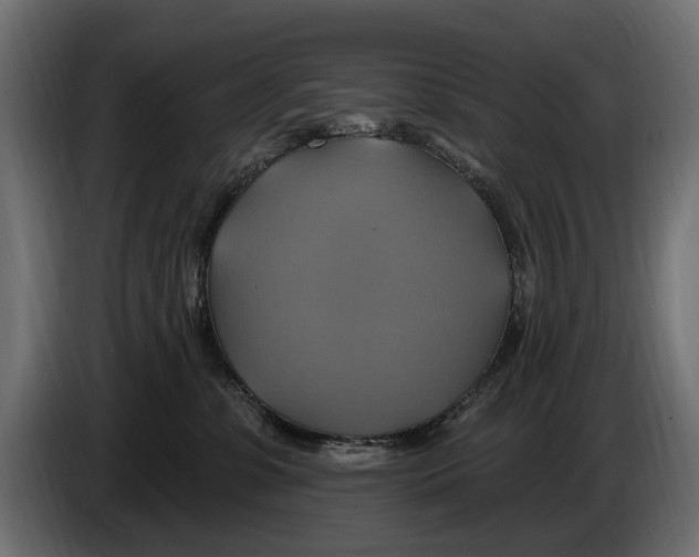 X0000086020331200704131855