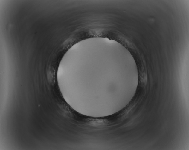X0000086020332200704131855