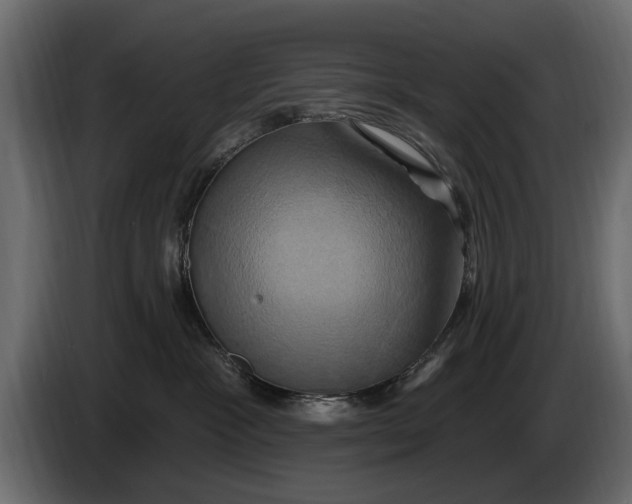 X0000086020333200704131855