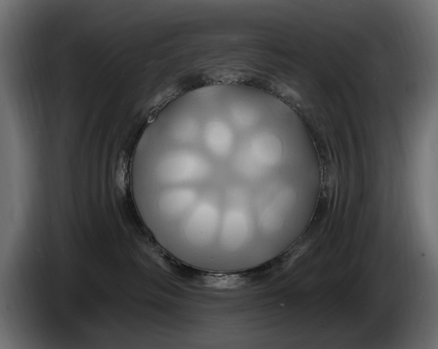 X0000086020334200704131855