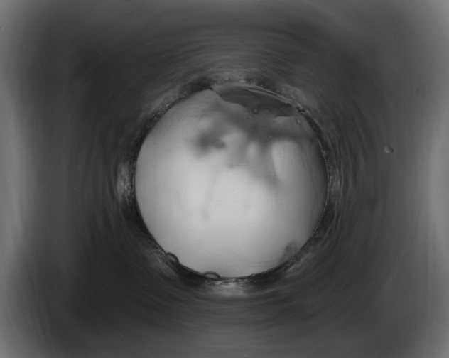 X0000086020335200704131855