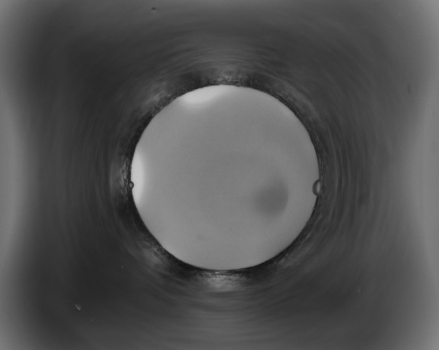 X0000086020336200704131855