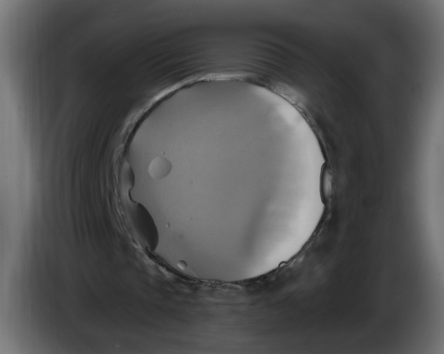 X0000086020337200704131854
