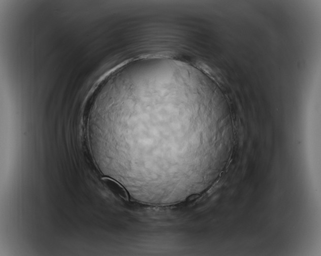 X0000086020338200704131854