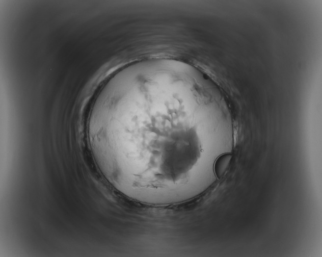 X0000086020339200704131854