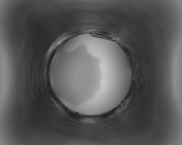 X0000086020341200704131855