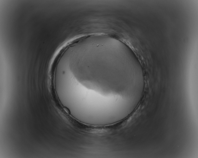 X0000086020342200704131855