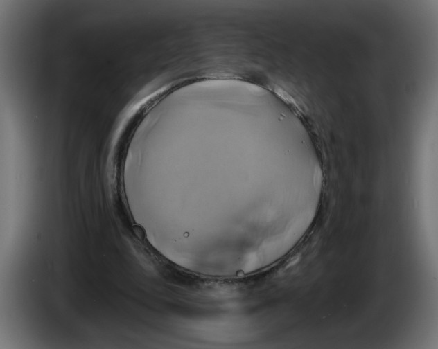 X0000086020343200704131855