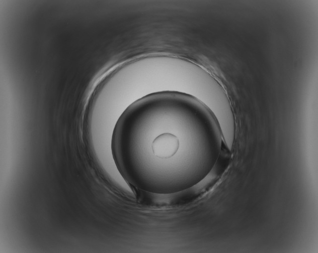X0000086020344200704131855