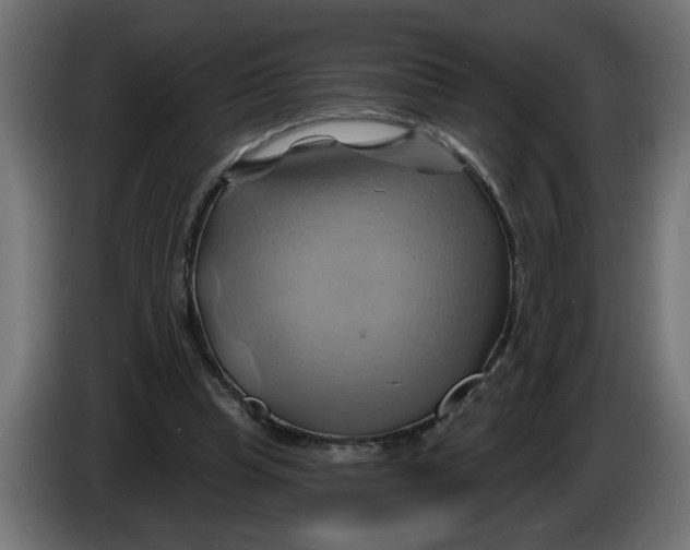 X0000086020345200704131855