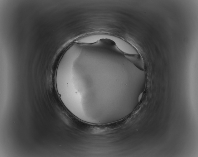 X0000086020346200704131855