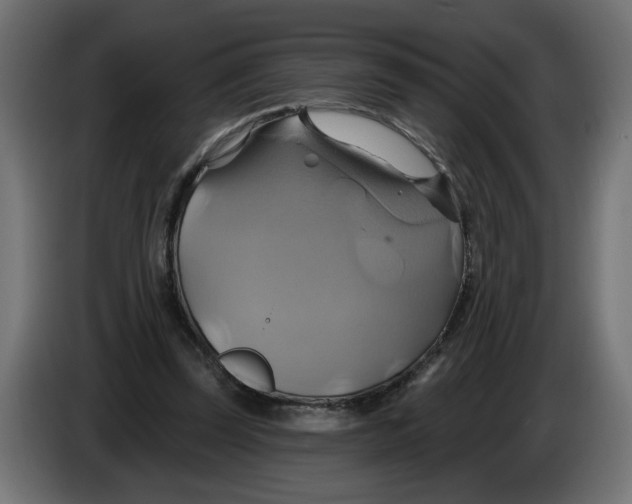 X0000086020347200704131855