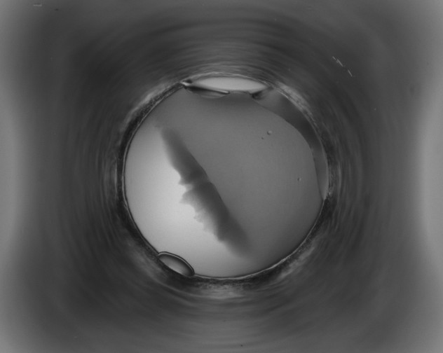 X0000086020349200704131855