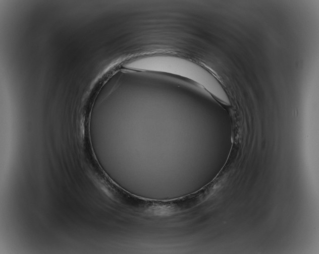 X0000086020350200704131855