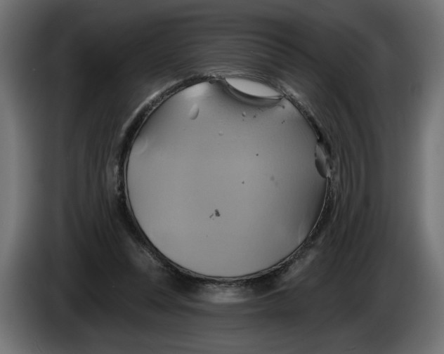 X0000086020351200704131855