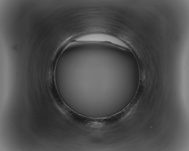 X0000086020352200704131855