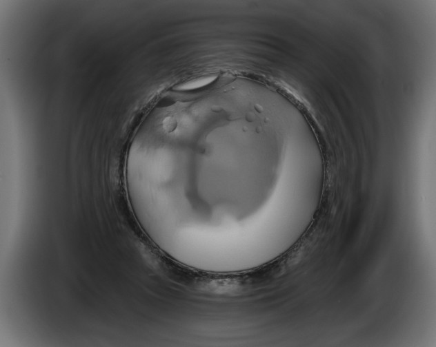 X0000086020353200704131855