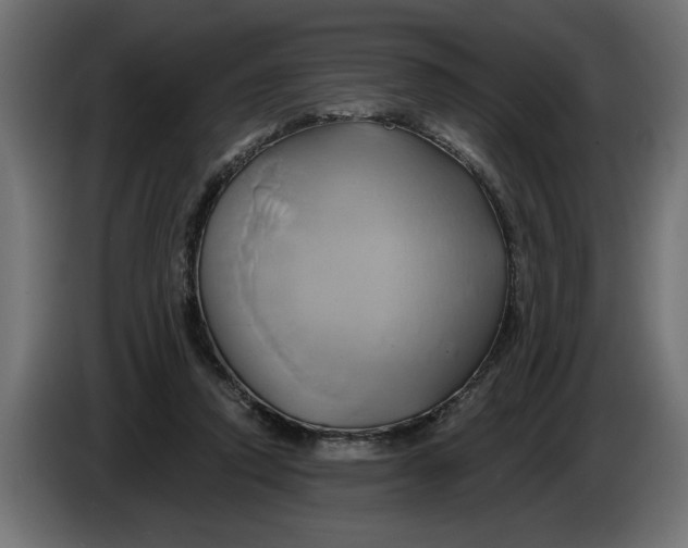 X0000086020354200704131855