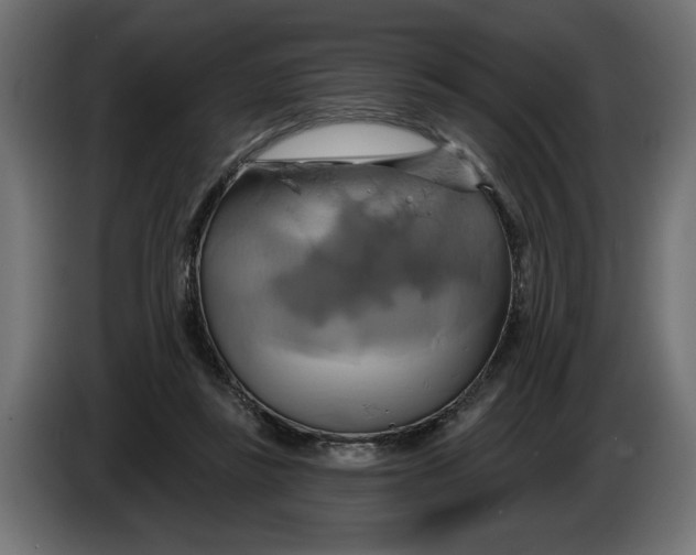 X0000086020355200704131855