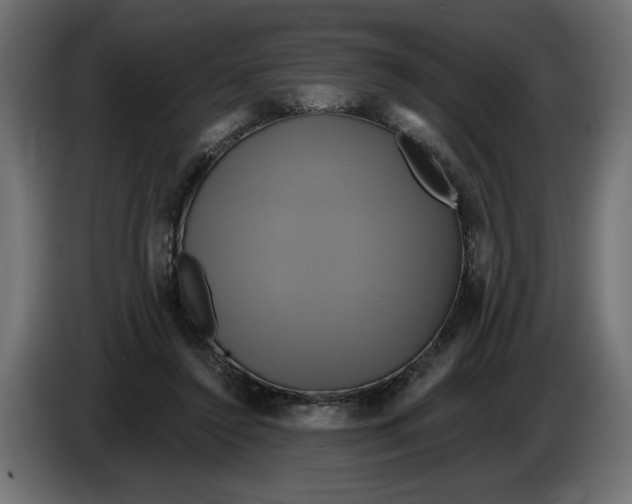 X0000086020356200704131855