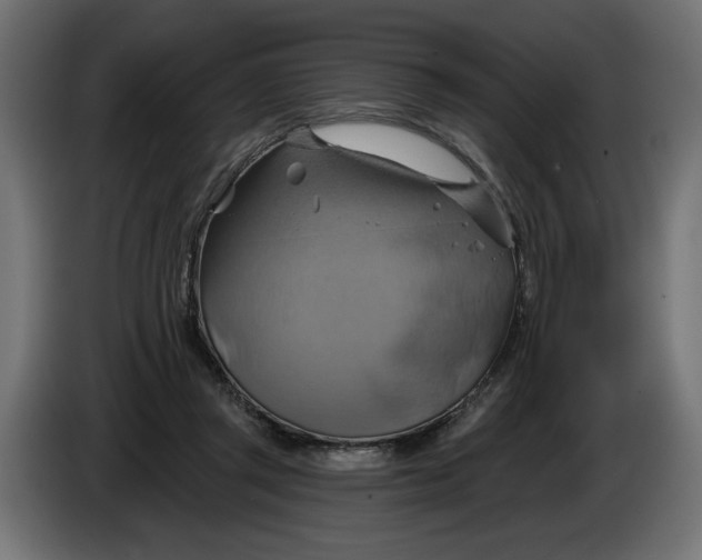 X0000086020357200704131855
