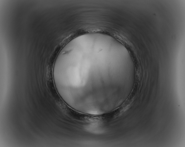 X0000086020359200704131855