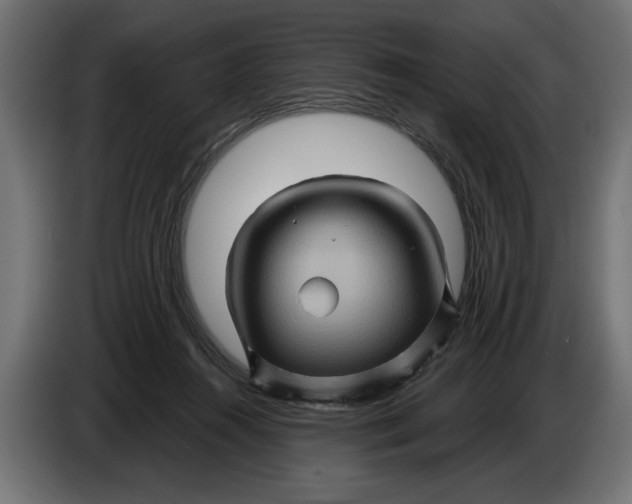 X0000086020360200704131855