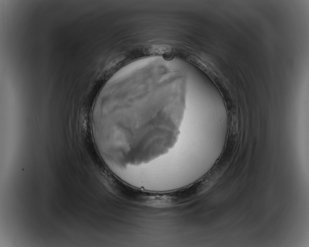 X0000086020363200704131855