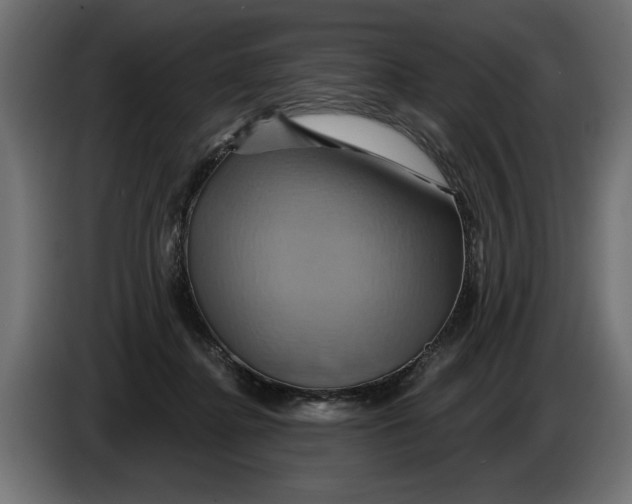 X0000086020364200704131855