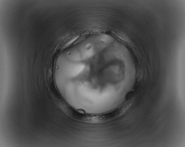 X0000086020365200704131855
