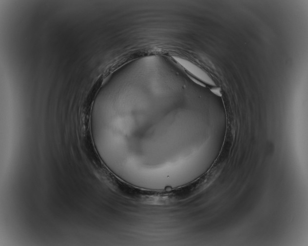 X0000086020366200704131855