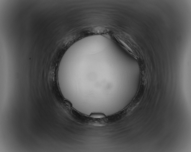 X0000086020368200704131855