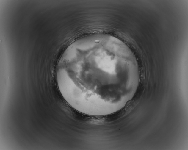 X0000086020369200704131855
