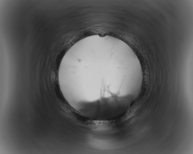 X0000086020371200704131855